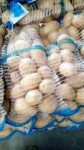 White Mozika Potato - Image 2