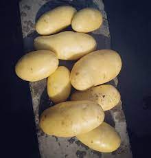 White Mozika Potato - Image 3