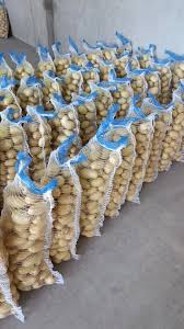 White Mozika Potato - Image 4