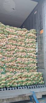 White Mozika Potato - Image 6